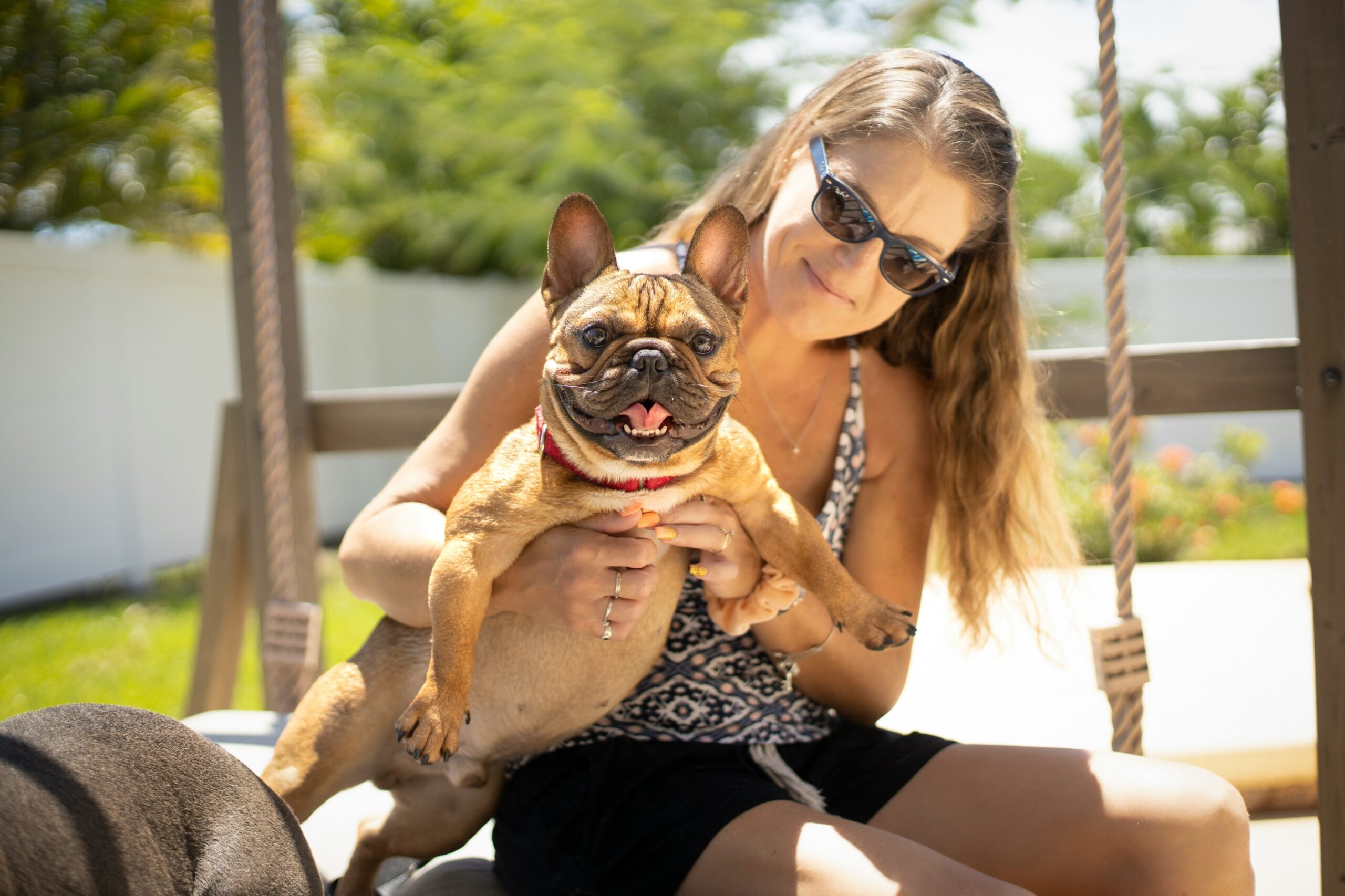 Trustwell pet insurance – affordable veterinary coverage for accidents, illness, and routine care